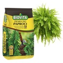 Субстрат ЗЕМЛЯ для домашних папоротников, папоротник 5л