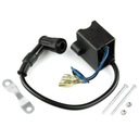 КАТУШКА ЗАЖИГАНИЯ С МОДУЛЕМ ДЛЯ ВЕЛОСИПЕДНОГО ДВИГАТЕЛЯ ОБЪЕМОМ 50 куб.см 2T