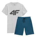 4F КОМПЛЕКТ МУЖСКОЙ ФУТБОЛКИ И ШОРТ