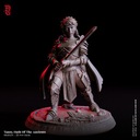 Tansy, Oath of the Ancients Figurka RPG DnD Pathfinder