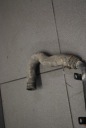 FIL EAU AUDI A8 D3 4.2 TDI 4E0121485Fphoto 4