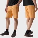 Короткие мужские шорты 4F Спортивные виды спорта