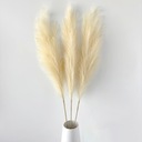 ORNA Umelá Pampas Grass Beige, XL, 114cm, 3ks EAN (GTIN) 5065010499089