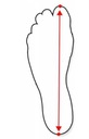 Женская обувь Кроссовки Seastar Adidas Кроссовки на плоской подошве Tied White размер 38