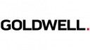 Goldwell Vitensity Gloss Care Fix Fixer 1000