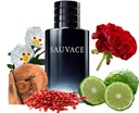 SAUVACE SELVACE SAVAGE PÁNSKY PARFUM 100ml EAN (GTIN) 0752527836449