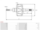 AS-PL AR5006 WIRNIK, ALTERNADOR 