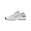 BUTY HALOWE CYCLONE SPEED 4 MIZUNO 46