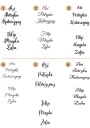 Наклейка NAME ANNIVERSARY 55x45cm разные ФИГУРЫ и ЦВЕТА для стены