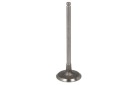 SOUPAPE ADMISSION FRECCIA R8121/Sphoto 1