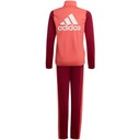 Dres dla dzieci adidas G TR TS czerwony HE2002 152cm Marka adidas