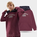 СВИТШОТ С КАПЮШОНОМ 4F ДЛЯ МАЛЬЧИКОВ AW23M651