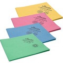 Стеклоочиститель VILEDA Professional Magic