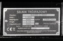 KOMPRESOR OLEJOWY-ALC200-2/400V 200L 400V 2 TŁOKI Typ kompresor olejowy