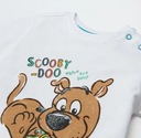 COOL CLUB Chlapčenský set, tričko + kraťasy Scooby-Doo roz 74 cm EAN (GTIN) 5903977311481