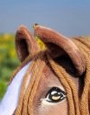 Хоббіхорс Super Hobby Horse А3