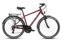 ТРЕККИНГОВЫЙ ВЕЛОСИПЕД VELLBERG DISCOVER 1.0 19 ALTUS