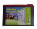 СУХОЙ АККУМУЛЯТОР 9В 55 Ач CORRAL Shepherd Energizer