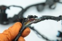 KAWASAKI ZX6R ZX 6R 636 05-06 WIRE SET HOME  photo 6