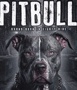 МУЖСКАЯ ФУТБОЛКА PIT BULL ПОВСЕДНЕВНАЯ СПОРТИВНАЯ ФУТБОЛКА PITBULL