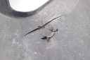 KAWASAKI ER-6 F 06-08 CÔTÉ GAUCHE AVANT PROTECTION DÉFLECTEUR D'AIRphoto 9