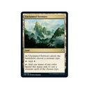 Невостребованная территория MTG (U)