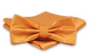 Темно-желтый галстук-бабочка с нагрудным платком - Alties
