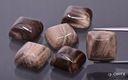Fosílne drevo kabošon cushion 10x10 mm Stav balenia originálne