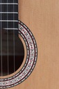Prodipe Guitars Primera 4/4 - klasická gitara Kód výrobcu PRI set 44