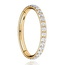 СЕГМЕНТИРОВАННЫЙ ЩЕЛЧОК ЦИРКОНИЙ СТАЛЬ 316L 1.2/6