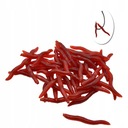 ИСКУССТВЕННЫЙ ЧЕРВЬ Мотыль КАК ЖИВКА 50 шт.