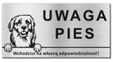 Знак ВНИМАНИЕ СОБАКА - ЗОЛОТОЙ РЕТРИВЕР Подгалье