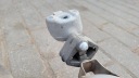 BMW 2' F44 GRAN COUPÉ 22R SILENCIEUX ÉCHAPPEMENT CATALYSEUR ENSEMBLE 8690794 8689343photo 7