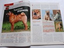 Журнал Friend Dog Шарпей №3, март 2013 г.