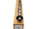 Peugeot Citroen 2.0 Bluehdi Sousction Roller