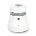 Smoke Sensor WSS1 Wi -Fi Tuya Smart Life