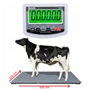 WAGA DO ZWIERZĄT PLATFORMOWA INWENTARZOWA DUŻA 5000kg ZWIERZĘCA 1,2x2,2m