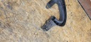 ПІДСИЛЕННЯ БАМПЕРА OPEL ASTRA K 13423602 30383238 1.4L 74KW 2017  (18857902015) фото min 14