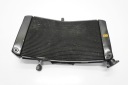 YAMAHA FZ1 1000 N FAZER RN16 06-15 РАДІАТОР ВОДИ  (17501389243) фото min 5