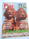 Журнал Friend Dog Ирландский сеттер №9, сентябрь 2012 г.