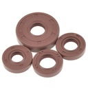 ДВИГАТЕЛЬ SIMERS SIMSON SR2 LYO VITON KPL