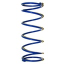 ЦЕНТРАЛЬНАЯ ПРУЖИНА СЦЕПЛЕНИЯ GY6 125 RACING 1000 ОБ/МИН СИНЯЯ GY6125W103537