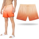 ШОРТЫ МУЖСКИЕ 4f СПОРТИВНЫЕ ШОРТЫ ШОРТЫ