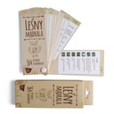 Развивающая викторина - Лесной мудрец