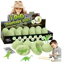 12x Jajo z DINOZAUREM ŚWIECĄCYM W CIEMNOŚCI WYKOPALISKA MAŁY ARCHEOLOG