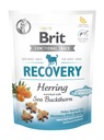 BRIT CARE DOG FUNCTIONAL SNACK RECOVERY / so slezinou a rakytníkom 150g