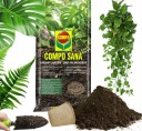 СУБСТРАТ ДЛЯ РАСТЕНИЙ И ПАЛЬМОВЫХ ЦВЕТОВ УНИВЕРСАЛЬНАЯ ПОЧВА С КОМПО-УДОБРЕНИЯМИ 10л