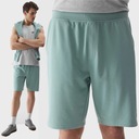 4F МУЖСКИЕ СПОРТИВНЫЕ ШОРТЫ SS24