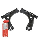 КОМПЛЕКТ ПЕРЕДНИХ РЫЧАГОВ 36842/2-SET-MS