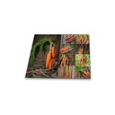 Защитное стекло для печи Морковь, 60х52